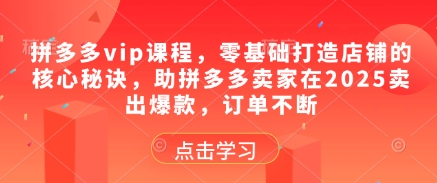 拼多多vip课程，零基础打造店铺的核心秘诀，助拼多多卖家在2025卖出爆款，订单不断 - 青笺杂货铺 - 软件资源下载分享