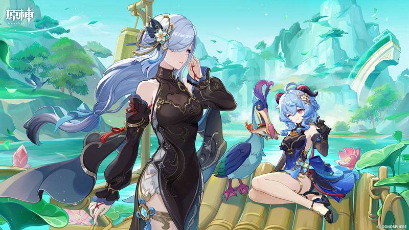 图片[22] - 手游《原神(Genshin)》的日文官方twitter(x)图包[934P] - 幻域写真 - cosplay高清美图分享平台