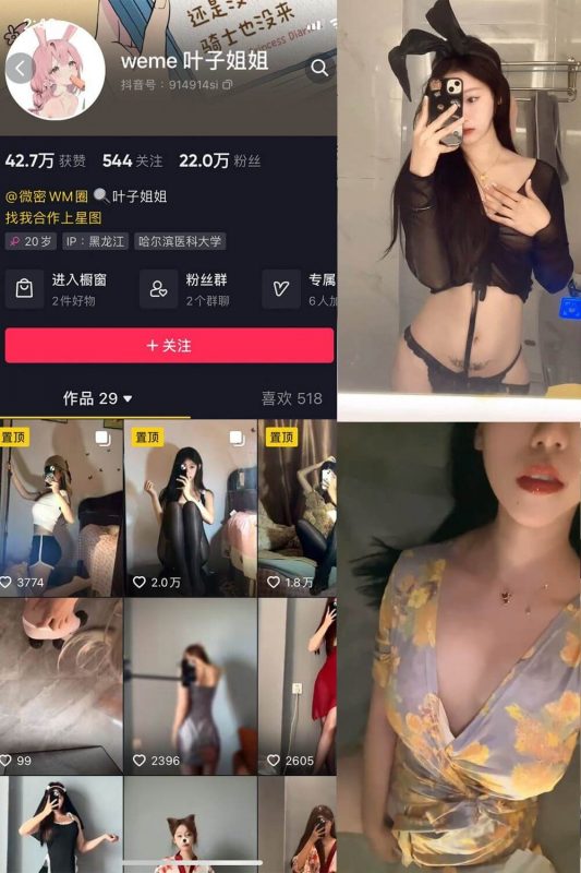 叶子姐姐 微密圈 写真资源合集下载[持续更新] - 幻域写真 - cosplay高清美图分享平台