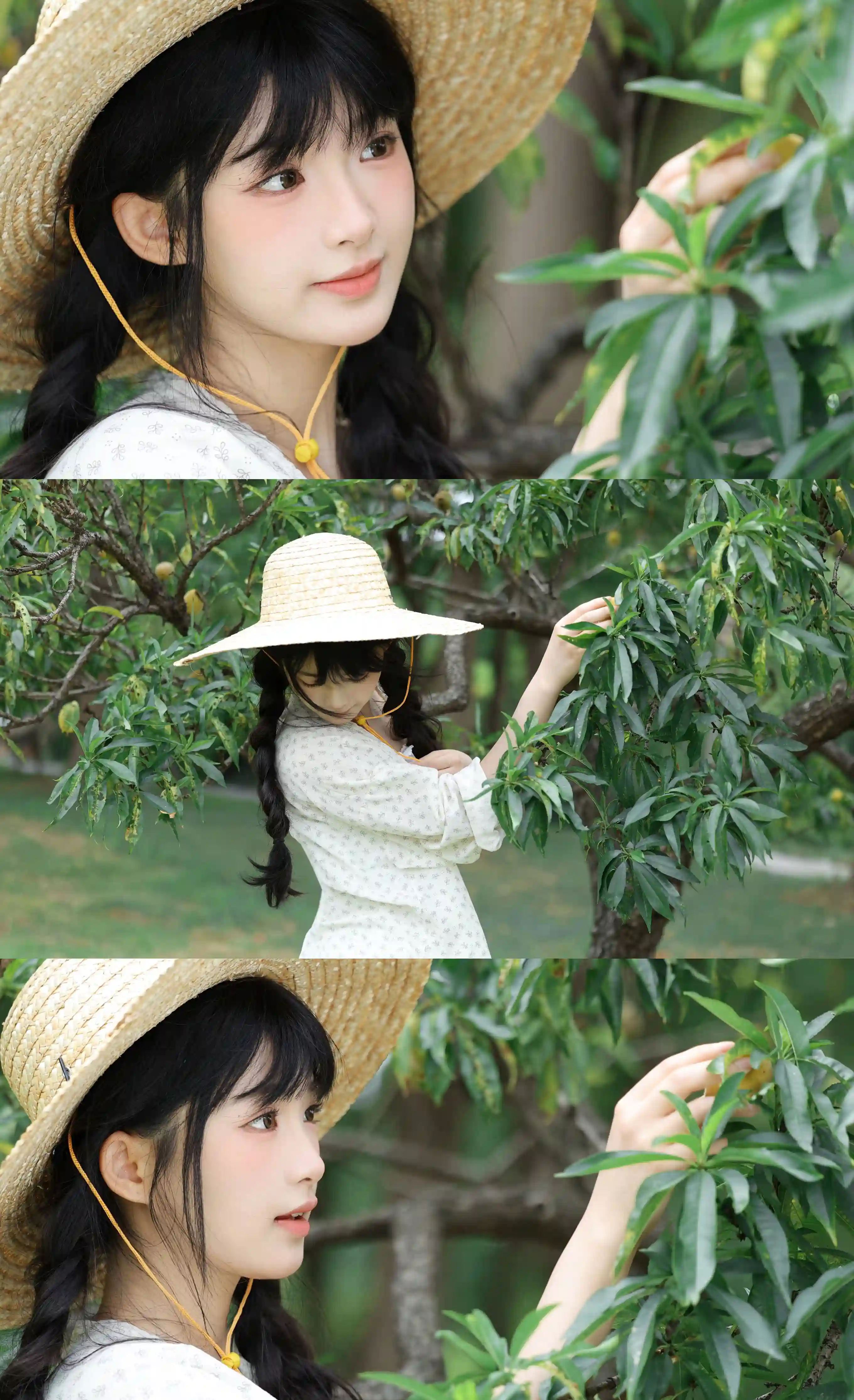 4a26d7fdf320250813223529