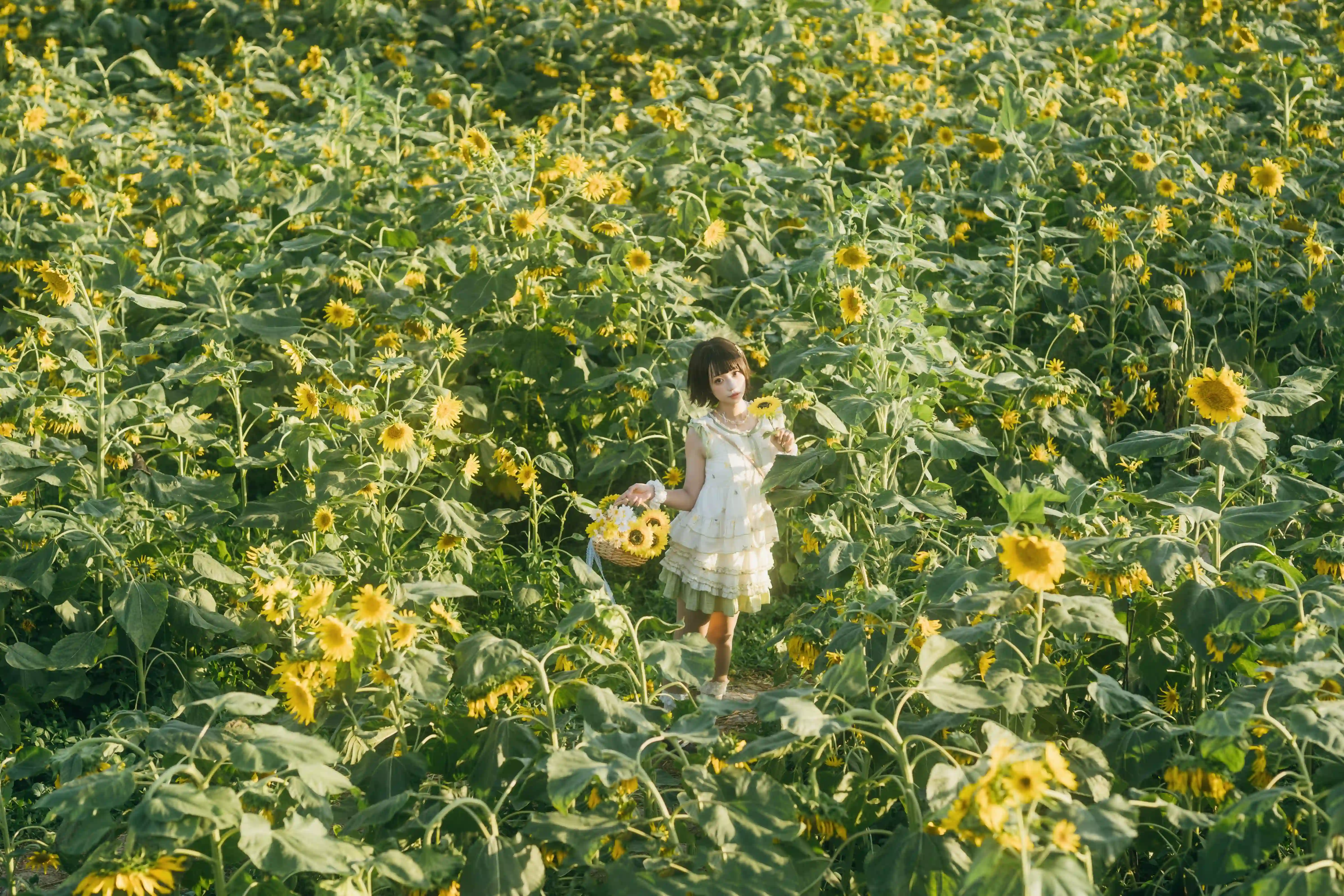 向日葵之约-提篮少女的浪漫 - 幻域写真 - cosplay高清美图分享平台