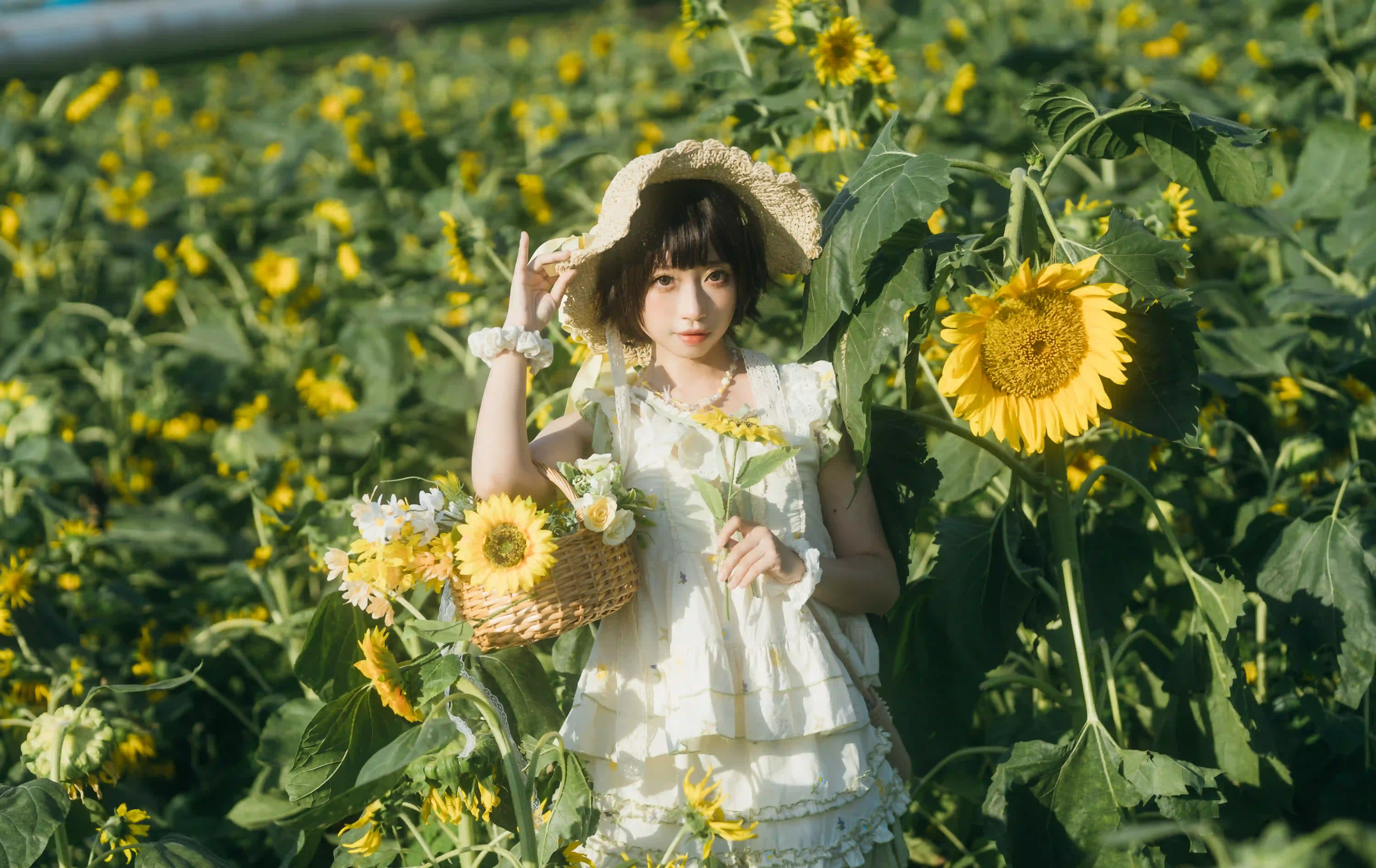 向日葵之约-提篮少女的浪漫 - 幻域写真 - cosplay高清美图分享平台