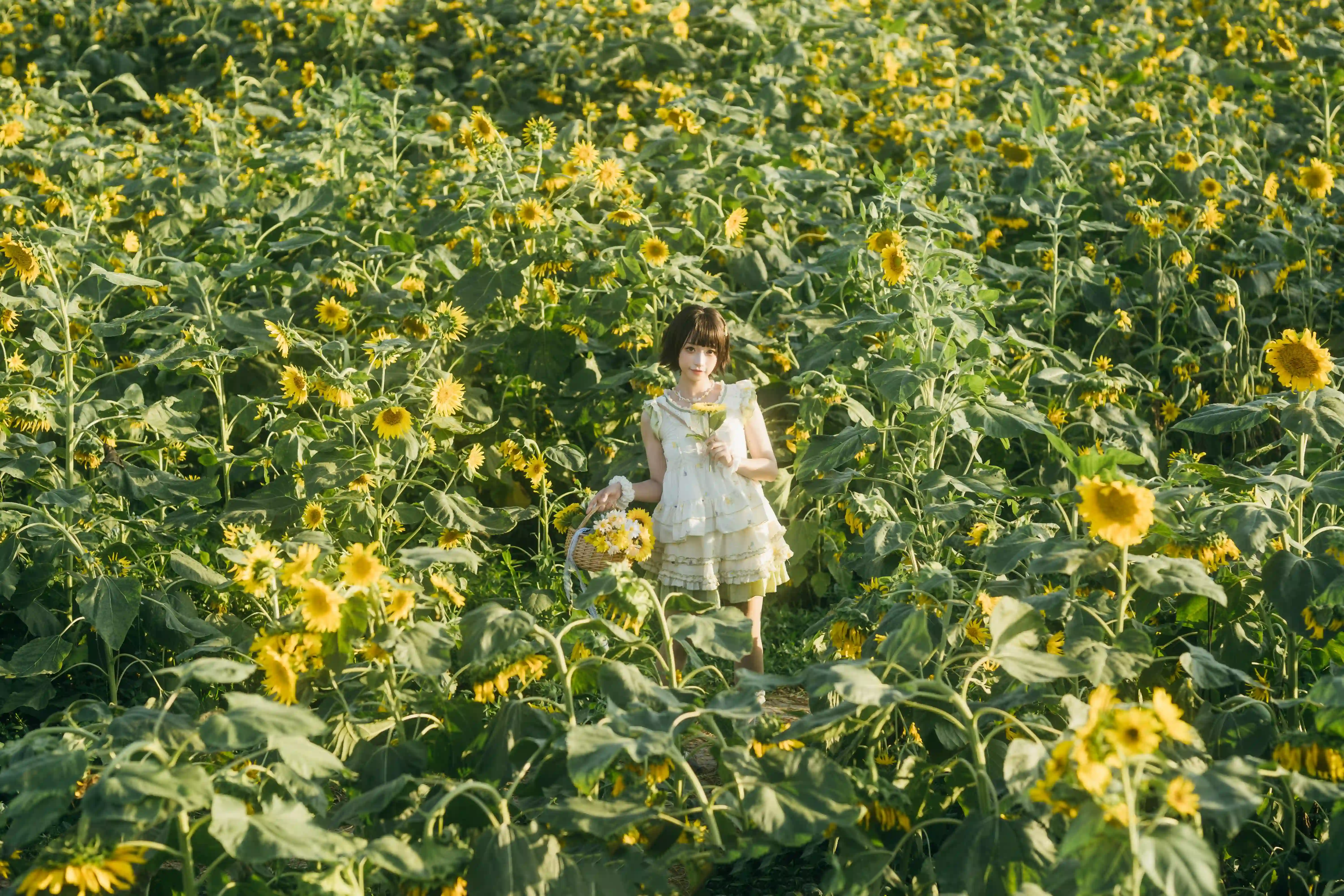 向日葵之约-提篮少女的浪漫 - 幻域写真 - cosplay高清美图分享平台