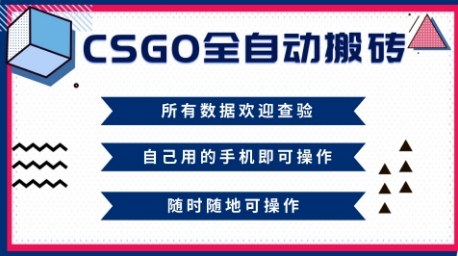 CSGO全自动搬砖，年底钱回家好项目，当天可拿到结果，新手小白轻松月入1W+【揭秘】 - 青笺杂货铺 - 网创项目_软件_壁纸下载资源平台