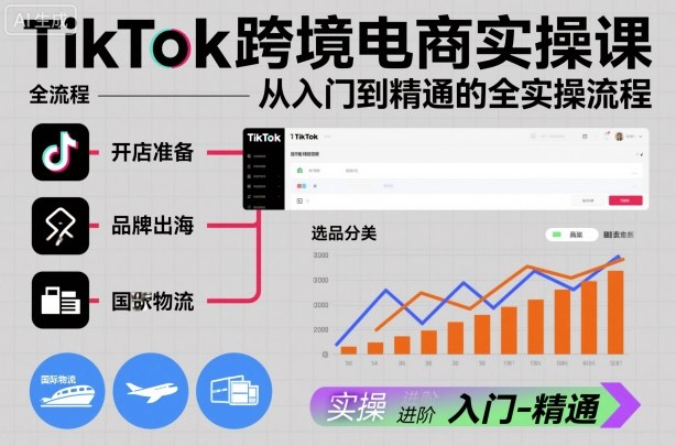 TikTok跨境电商实操课，从入门到精通的全实操流程 - 青笺杂货铺 - 网创项目_软件_壁纸下载资源平台