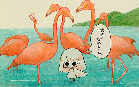 [ぱんきちあんこ(oe___ank)]Pixiv+推特图片包[659P] - 幻域写真 - cosplay高清美图分享平台