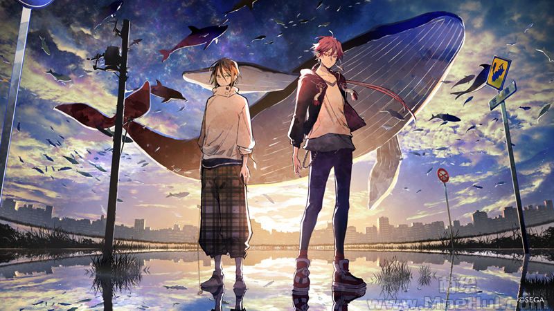 图片[13] - [野崎つばた(TsubaTako)]Pixiv+推特图片包[730P] - 幻域写真 - cosplay高清美图分享平台
