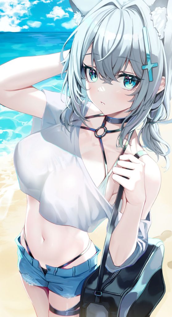 图片[12] - [Ha_en(Ha_en__)]Pixiv+推特图片包[107P] - 幻域写真 - cosplay高清美图分享平台