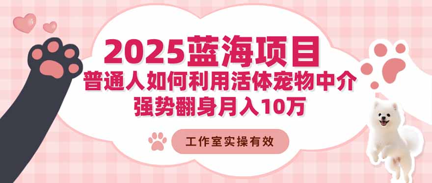 2025蓝海项目:普通人如何利用活体宠物中介,强势翻身月入10万 - 青笺杂货铺