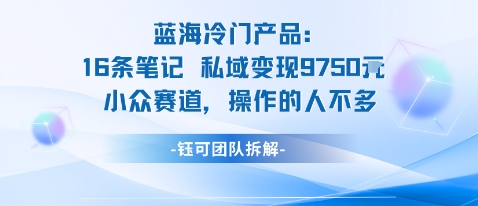 蓝海项目:16条笔记私域变现9750米小众赛道操作的人不多 - 青笺杂货铺