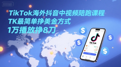 TikTok海外抖音中视频陪跑课程,TK最简单挣美金方式,1万播放挣8刀 - 青笺杂货铺