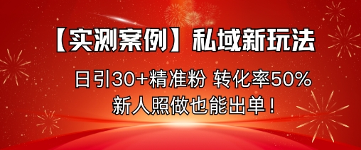 【实测案例】私域新玩法，日引30+精准粉，转化率50%，新人照做也能出单！ - 青笺杂货铺