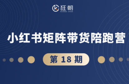 盗坤·抖音小红书视频号短视频带货与直播变现(11-18期) - 青笺杂货铺