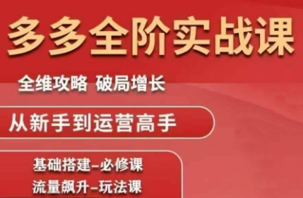 大炮·拼多多全阶实战课程(更新10月) - 青笺杂货铺