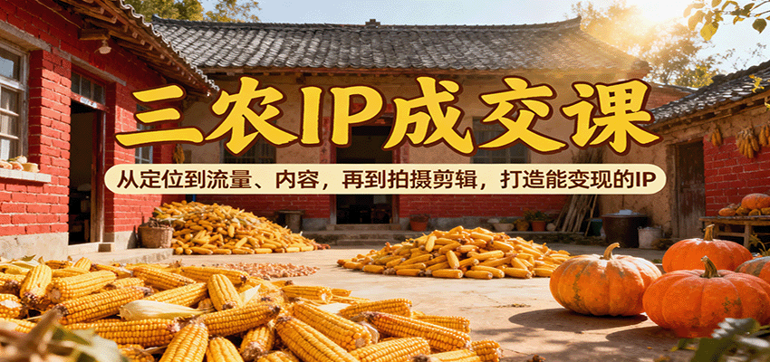 三农IP成交课:从定位到流量、内容,再到拍摄剪辑,打造能变现的IP - 青笺杂货铺