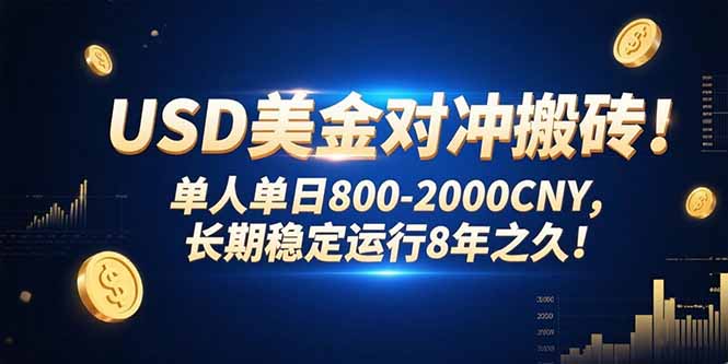 USD美金对冲搬砖!单人单日800-2000CNY,长期稳定运行8年之久! - 青笺杂货铺