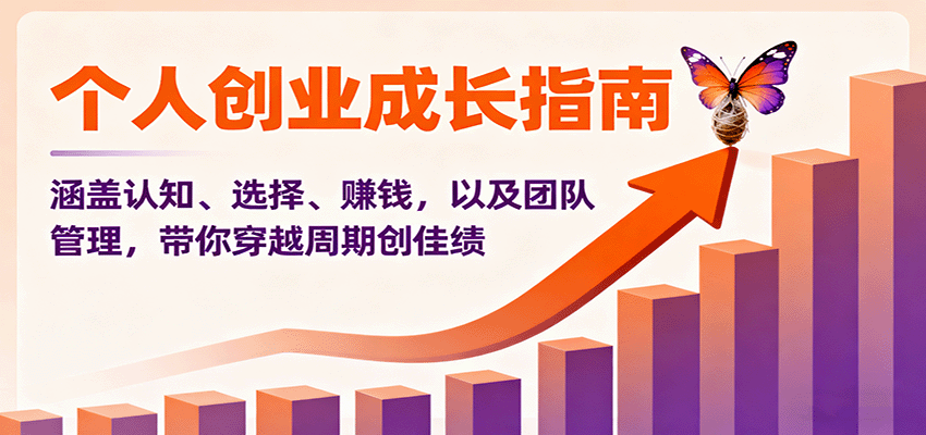 个人创业成长指南：涵盖认知、选择、赚钱，以及团队管理，带你穿越周期创佳绩 - 青笺杂货铺