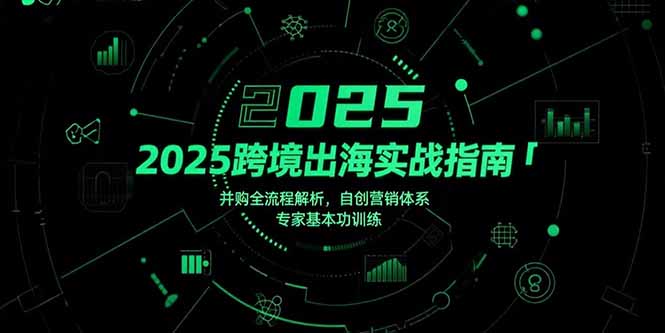 2025跨境出海实战指南，并购全流程解析，自创营销体系，专家基本功训练 - 青笺杂货铺