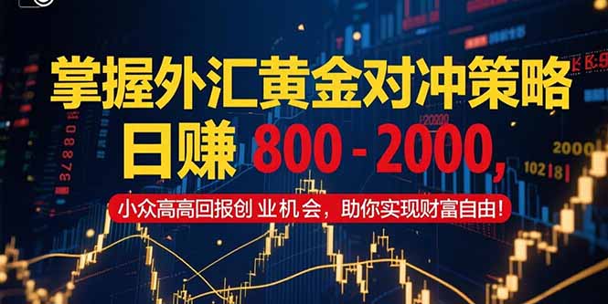 掌握外汇黄金对冲策略，日赚 800 - 2000，小众高回报创业机会，助你实... - 青笺杂货铺