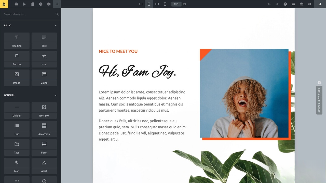 WordPress主题Bricks v1.9 破解版 - 青笺杂货铺