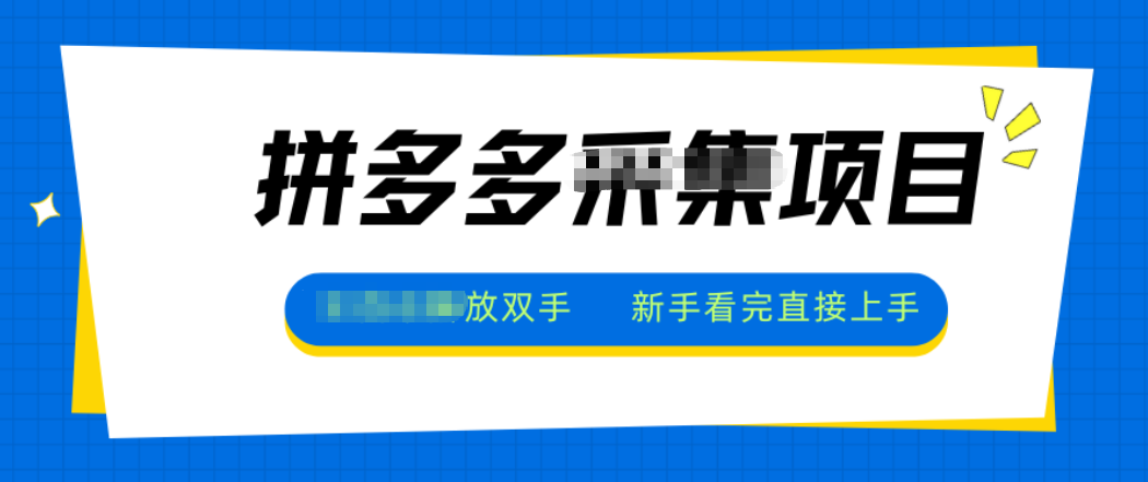 拼多多电商采集，一小时50+，操作简单，零投资 - 青笺杂货铺 - 网创项目_软件_壁纸下载资源平台