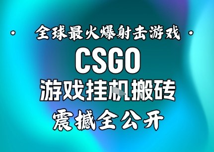 【年底大揭秘】基于全球最火爆的射击CSGO游戏挂G搬砖，日入5张+，震撼公开 - 青笺杂货铺 - 网创项目_软件_壁纸下载资源平台