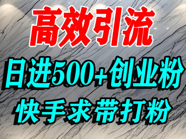 怎么打创业粉？快手求带视角精准引流创业粉，宝妈、学生群体日进500+精准流量 - 青笺杂货铺 - 网创项目_软件_壁纸下载资源平台