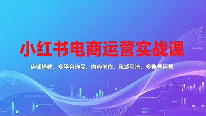 小红书电商运营实战课，店铺搭建、多平台选品、内容创作、私域引流、多账号运营等玩法 - 青笺杂货铺 - 网创项目_软件_壁纸下载资源平台