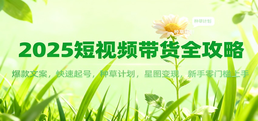 2025短视频带货全攻略：爆款文案，快速起号，种草计划，星图变现，新手零门槛上手 - 青笺杂货铺 - 网创项目_软件_壁纸下载资源平台