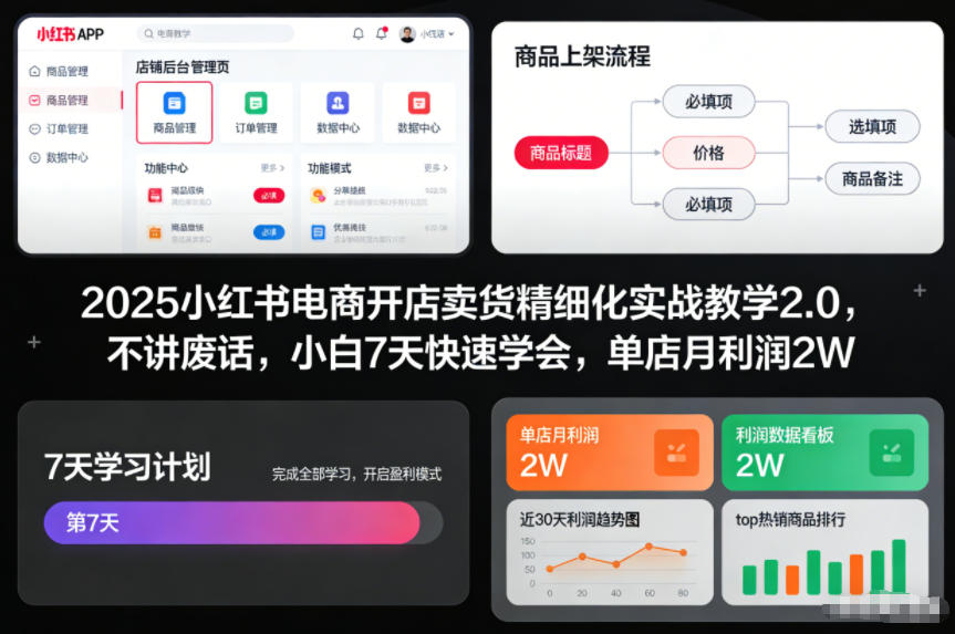 2025小红书电商开店卖货精细化实战教学2.0，不讲废话，小白7天快速学会，单店月利润2W - 青笺杂货铺 - 网创项目_软件_壁纸下载资源平台