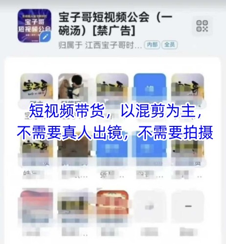 宝子哥头部团队短视频带货，以混剪为主，不需要真人出镜，不需要拍摄【更新12月】 - 青笺杂货铺 - 网创项目_软件_壁纸下载资源平台