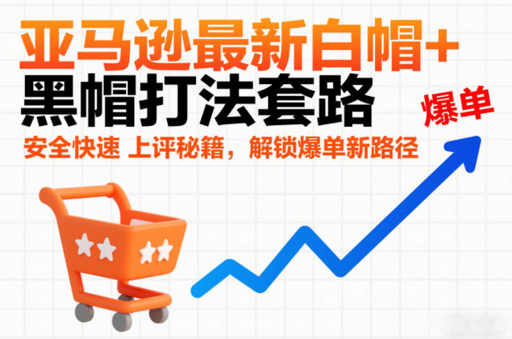 亚马逊最新白帽+黑帽打法套路，安全快速上评秘籍，解锁爆单新路径 - 青笺杂货铺 - 网创项目_软件_壁纸下载资源平台