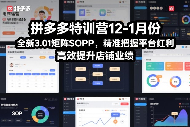 拼多多特训营12-1月份，全新3.01矩阵Sop，精准把握平台红利，高效提升店铺业绩 - 青笺杂货铺 - 网创项目_软件_壁纸下载资源平台